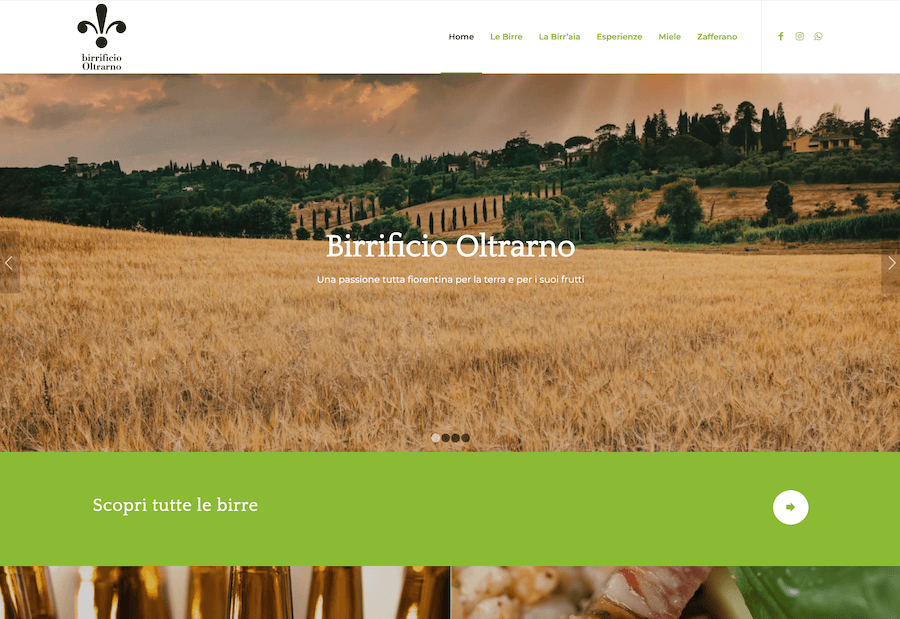 Sito web realizzato da Alessandro Tei per Birrificio Oltrarno