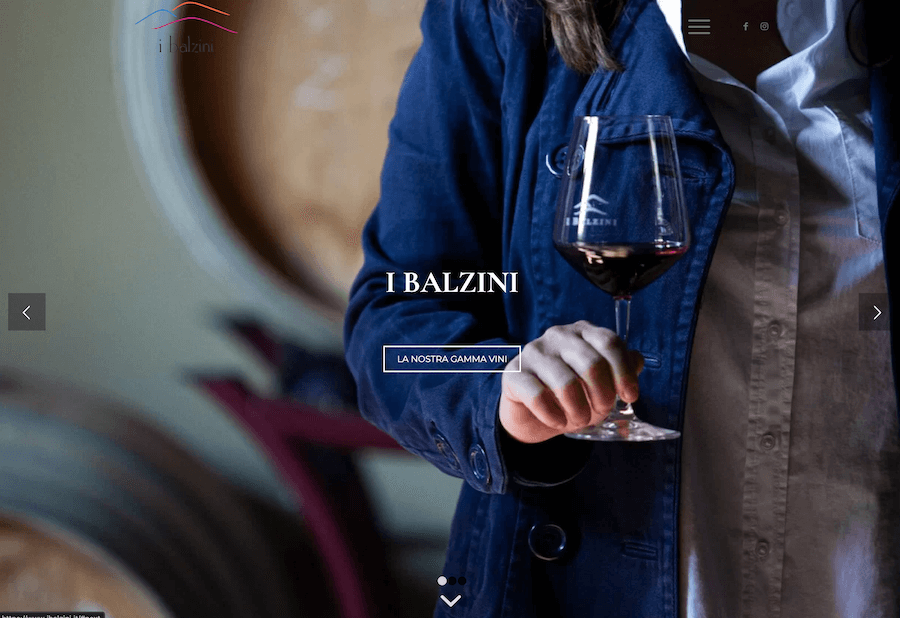 Sito web realizzato da Alessandro Tei per I Balzini